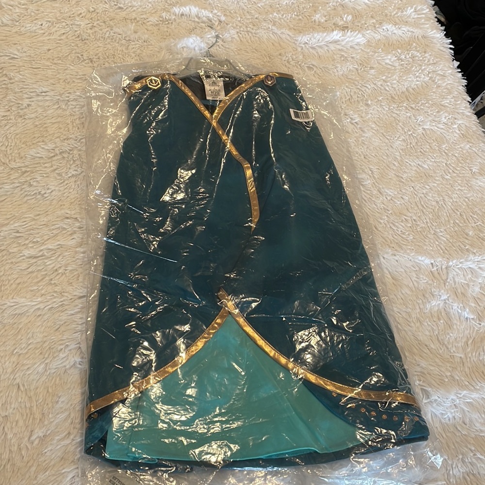 Disney store Frozen 2 Queen Anna costume dress cape NWT - Picture 4 of 10